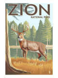 Zion National Park, UT - Deer