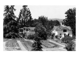 Santa Rosa, California - View of a Burbank Garden
