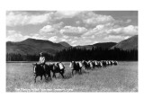 Idaho - Fish Planting by Pack Train near Sandpoint