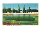 Yellowstone Nat'l Park, Wyoming - Emerald Pool Scene
