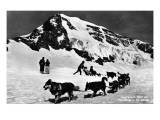 Switzerland - Dogsledding at Jungfraujoch