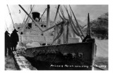 Buy Skagway, Alaska - Princess Norah Ship Arriving at AllPosters.com
