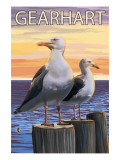 Gearhart, Oregon - Seagulls