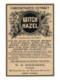 Buy Witch Hazel at AllPosters.com