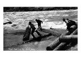 Idaho - Priest River Log Run Scene