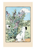 Snip And Snap Play In the Lilac Bushes