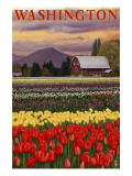 Orca and Calf - Tulip Fields