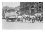 Borden Dairies Enter a Horse Drawn Wagon In the Work Horse Parade