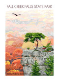 Fall Creek Falls State Park, Tennessee - Buzzards Roost