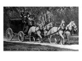 Buena Park, California - Horse Carriage in Ghost Town; Knott's Berry Farm