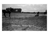 South Dakota - Calf Roping at Black Hills Round-Up