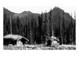 Alaska - View of Trapper's Cabin and Cache
