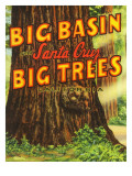 Santa Cruz, California - Big Trees Park, Big Basin Letters