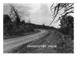 Buy Texas - Observatory Drive at AllPosters.com