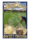Buy Walla Walla, Washington - Sweet Onions at AllPosters.com