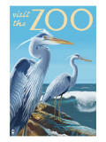 Blue Heron - Visit the Zoo