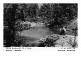 Buy Mt Lemmon, Arizona - From Saguaro to Pines, Man Fishing at AllPosters.com