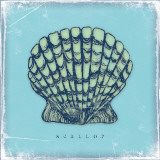 Buy Scallop at AllPosters.com