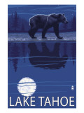 Bear at Night - Lake Tahoe, California