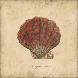 Buy Shells II at AllPosters.com