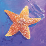 Starfish
