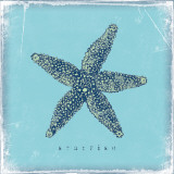 Buy Starfish at AllPosters.com