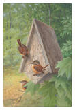 Buy Bird House at AllPosters.com
