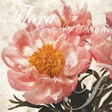 Buy Antique Peony II at AllPosters.com
