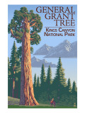 General Grant Tree - Kings Canyon National Park, California