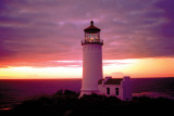 Buy North Head at AllPosters.com