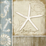 Buy Starfish at AllPosters.com
