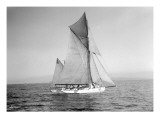 Yachts-Lipton Cup Races, Gwendolin, 1914