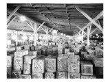 Warehouse of Earthenware at G.N. Docks, 1926