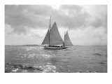 Sailing Boat