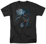 Batman - Light of the Moon