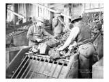Picking Coal, Franklin Mine, Circa 1902
