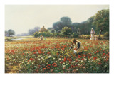 Picking Posies