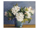 Rhododendrons Giclee Print