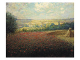 Buy The Poppies at AllPosters.com