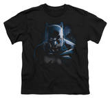 Youth: Batman - Don't Mess With The Bat