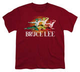 Buy Youth: Bruce Lee - Tri-Color at AllPosters.com