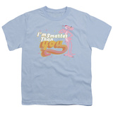 Youth: Pink Panther - Smart Cat