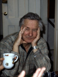 William Styron: American novelist, author of 'Sophie's Choice'