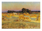 Buy Evening Shadows at AllPosters.com