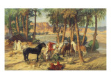 A Rest in the Shade