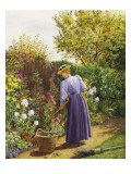 A Day in the Garden