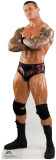Randy Orton - WWE