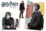 Buy Ron Weasley - Harry Potter and the Deathly Hallows at AllPosters.com