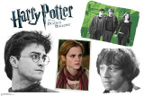 Buy Harry Potter Group - Harry Potter and the Deathly Hallows at AllPosters.com