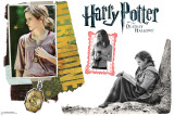 Buy Hermione Granger - Harry Potter and the Deathly Hallows at AllPosters.com